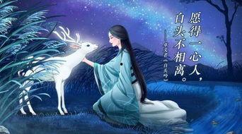 芈月身份背景强大 还得,权谋天下，传奇女王的崛起之路